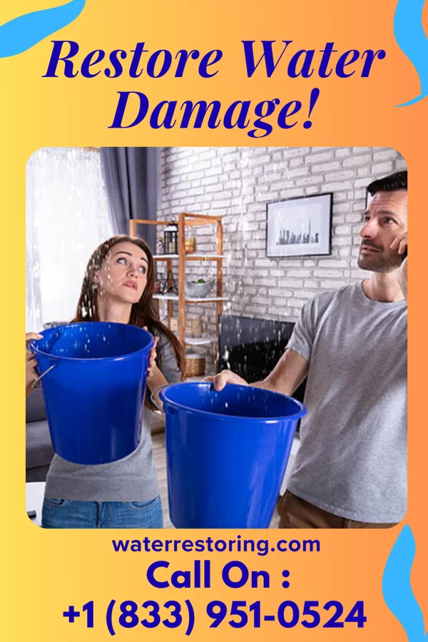 water restoration Stellar Cleanup Masters Glenmora