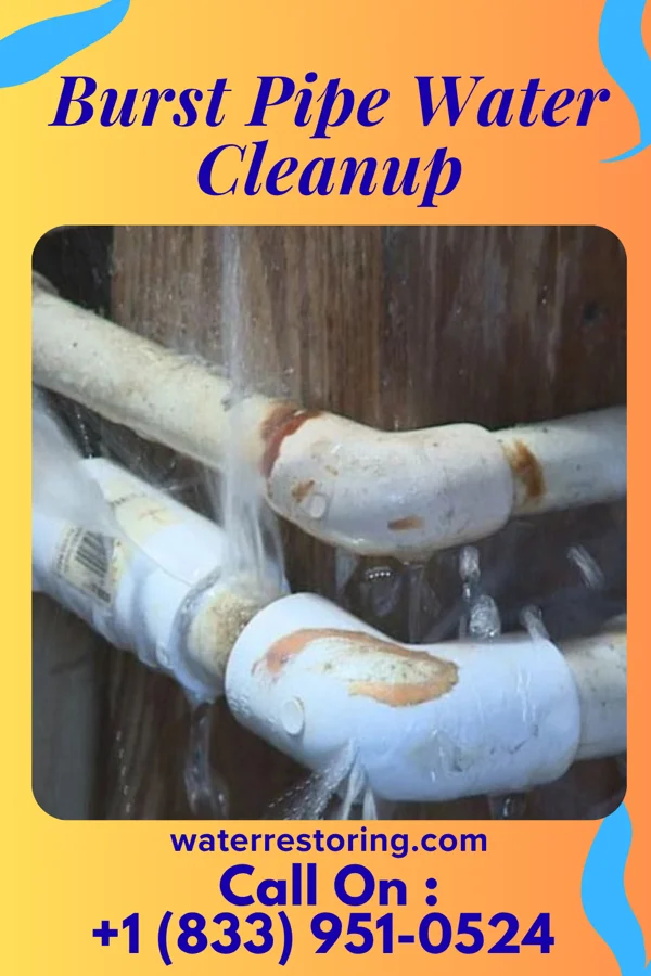 Burst Pipe Water Cleanup in Glenmora, LA