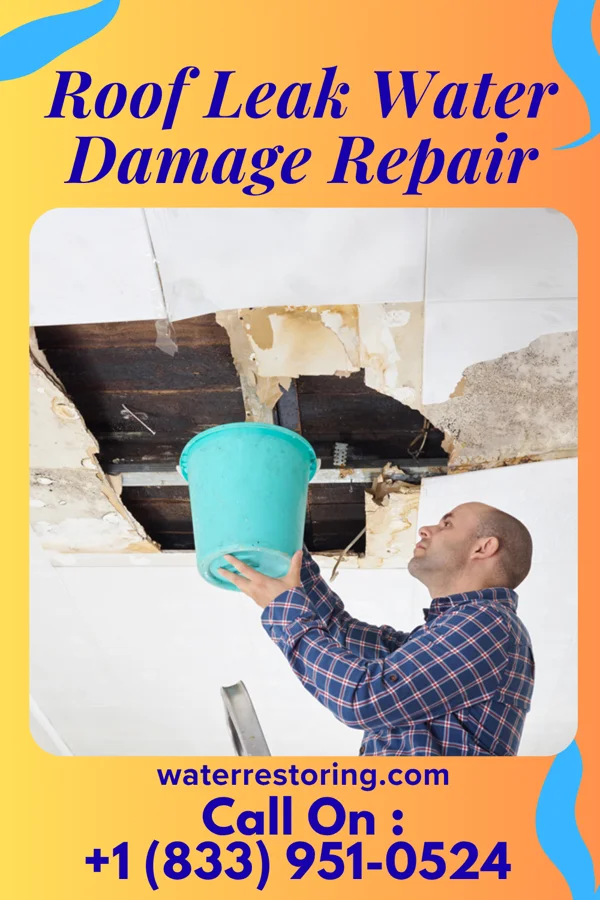 Roof Leak Water Damage Repair in Glenmora, LA
