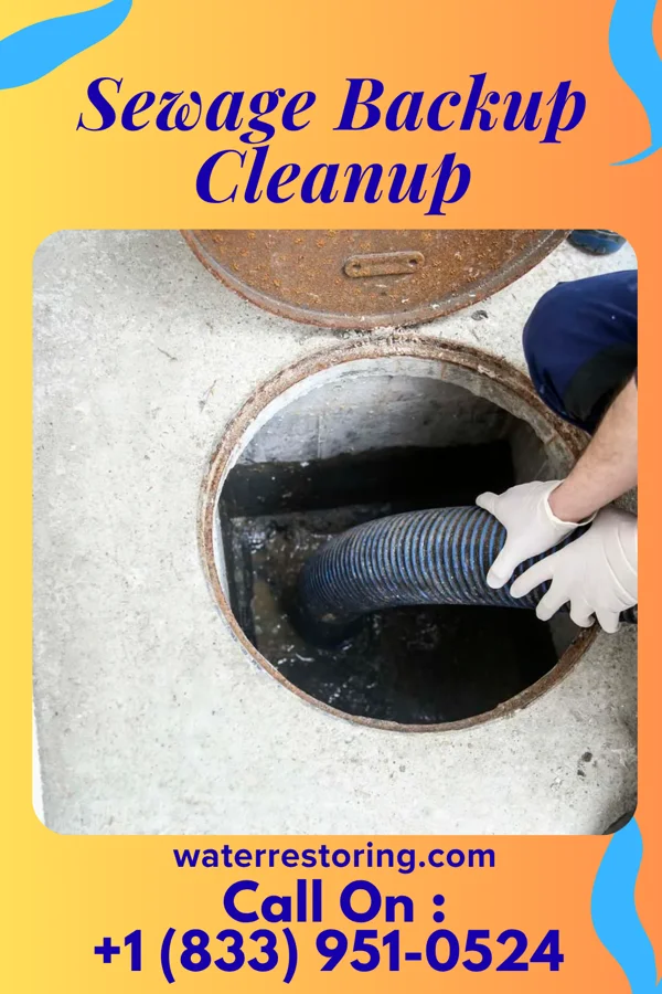Sewage Backup Cleanup in Glenmora, LA