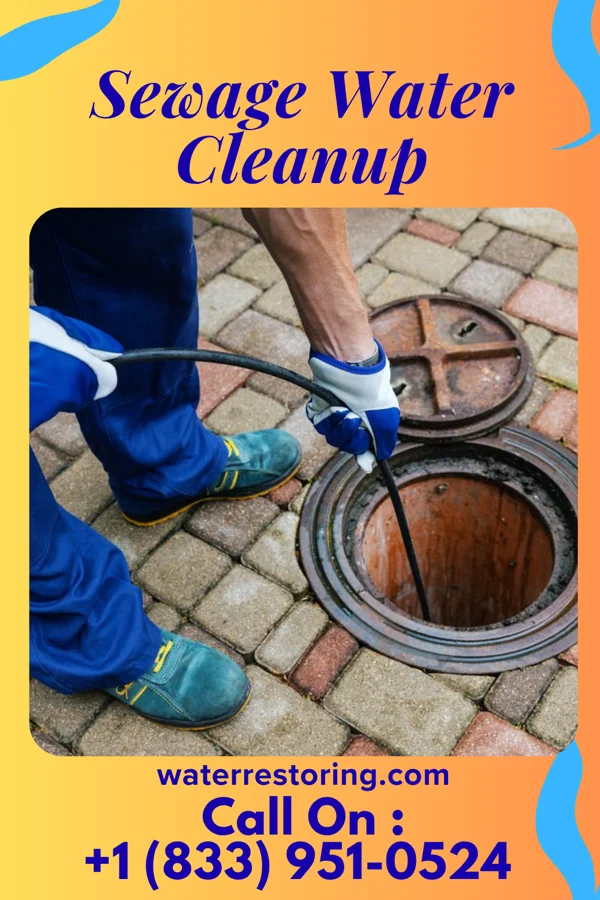 Sewage Water Cleanup in Glenmora, LA