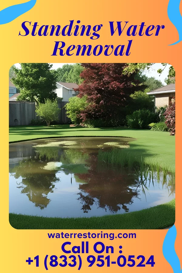 Standing Water Removal in Glenmora, LA